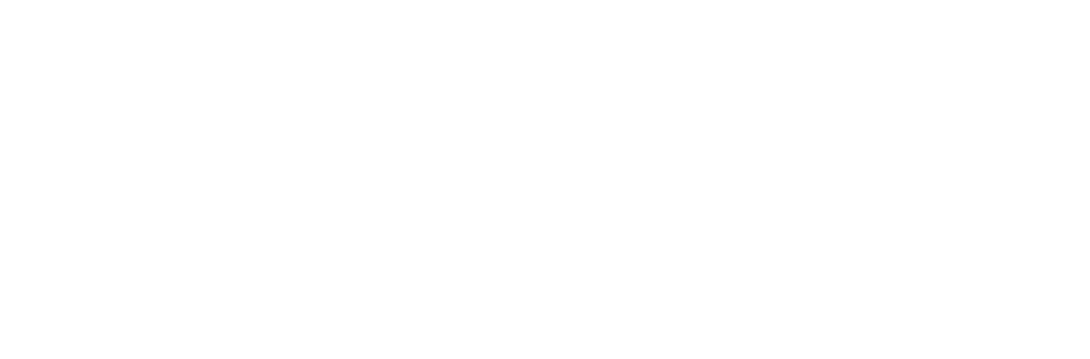 Vision Conference