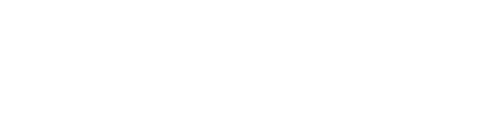Vision Conference